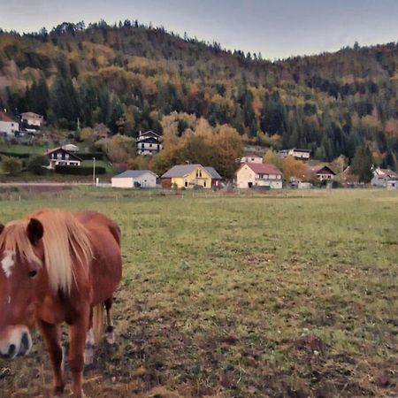 Вилла Le Vivaldi, Au Coeur Du Massif Vosgien Avec Terrain De Petanque Rochesson Экстерьер фото